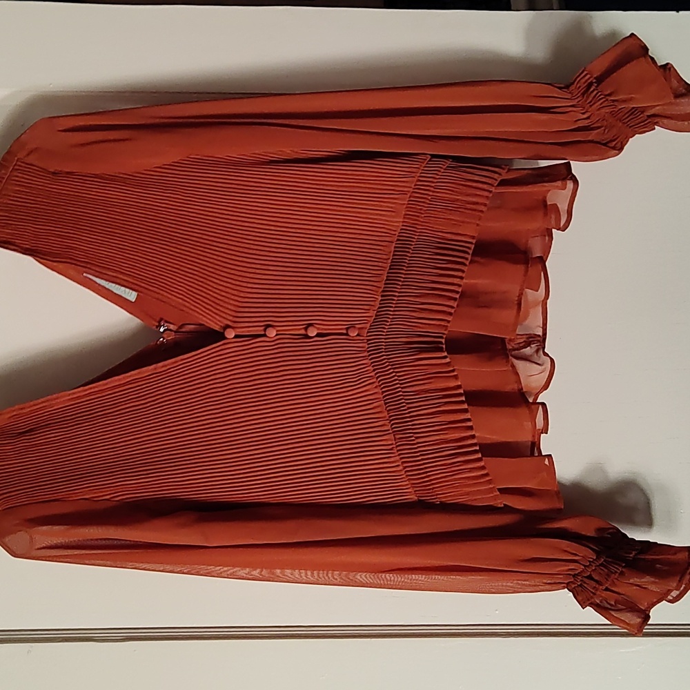 Beautiful rust colored size 6 blouse by Ryegrass